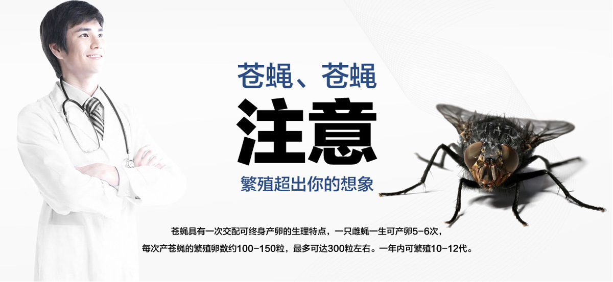 老鼠聰明超出你想象。